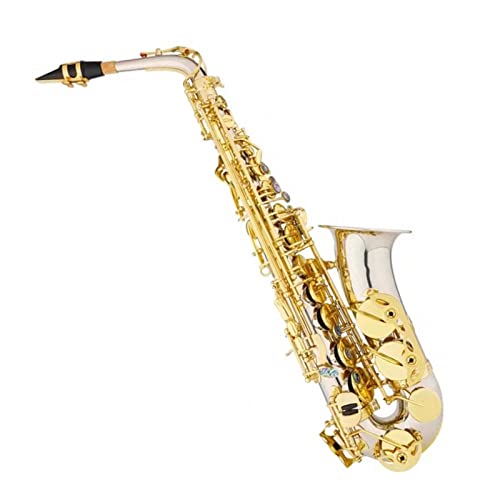 E-Drop Alto Saxophone Ǌy  TbNX S TbNX y