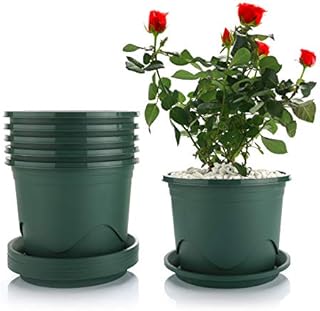 T4U 16CM Plastic Plant Pot with Saucer Set of 6, Root-Control Nursery Seedling Planter Decorative Garden Flower Pot Container Green for Indoor Outdoor Bonsai Plants, Aloe, Herb, Orchid and More