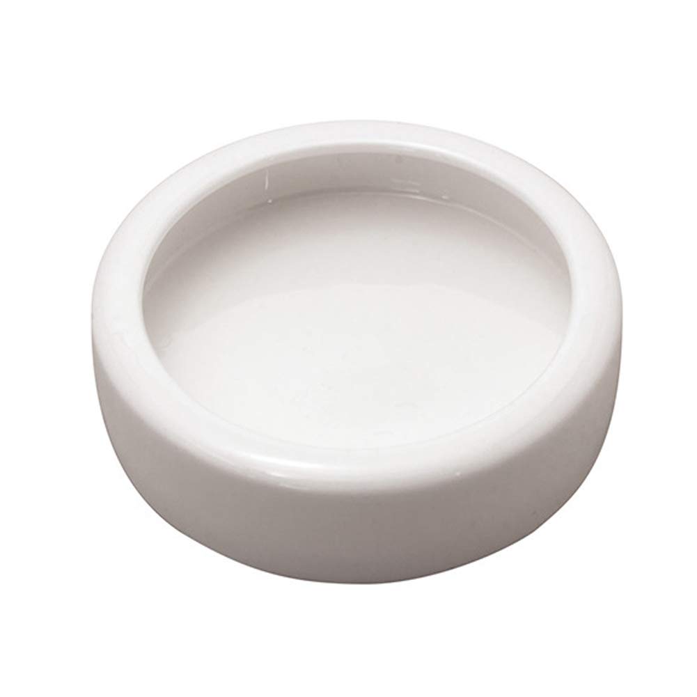 ELDETU Reptile Food Water Dish Worm Bowl Mealworm Feed Feeder Mini Reptile Food Bowl Ceramics Made (L)