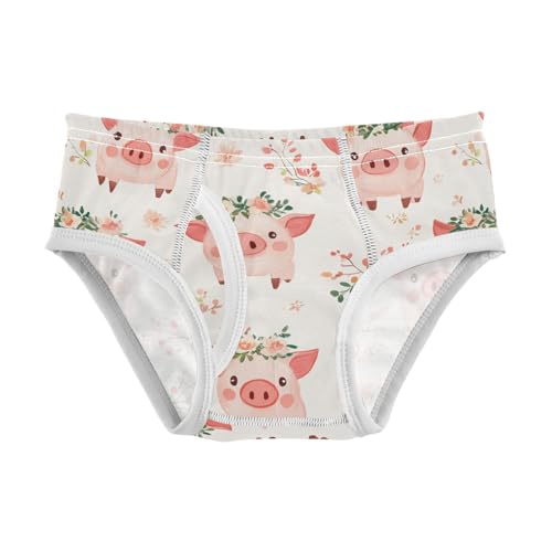 Wusikd Cute Pigs Wreaths Boys' Underwear Cotton Boys Briefs Soft Toddler Underwear 2T