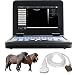 CONTEC CMS600P2 Vet Veterinary,Portable Laptop B-Ultrasound Scanner Machine for Horse/Equine/Sheep Big Animal Use Newest FDA (Convex Probe)