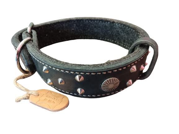 Collier clouté pour chien robuste cuir véritable anti-irritation
