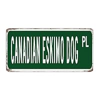 Chien Loup Tchécoslovaque - Colonel Gustave