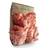 Set per coltivazione di funghi ostrica rosa | coltivazione tutto l'anno | funghi in casa | Spruzzo quotidiano | Raccolta rapida | Facile da coltivare | Regalo gourmet