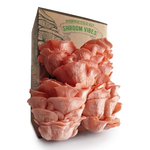 Kit Bio pour la Culture de Champignons | Set de Culture de Champignons | 100% Biologique | Sans OGM | Culture Toute l’Année | Champignons d’Intérieur | Pulvérisation Quotidienne