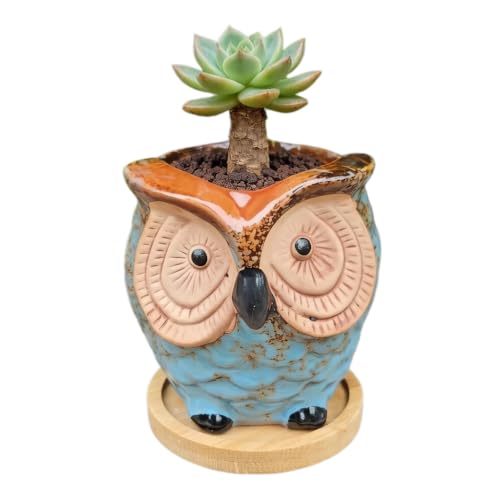 Mini Ceramic Owl Planter Pot