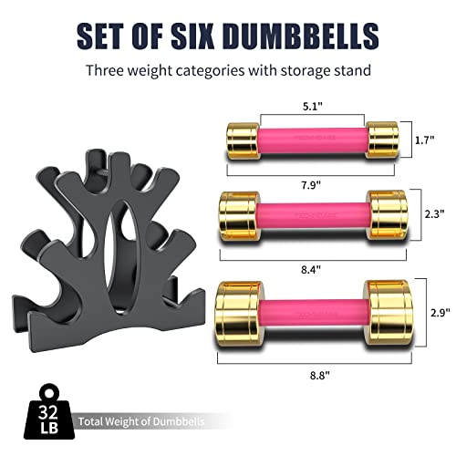 TECHNOAGE 6-Piece Steel Dumbbell Set, 3/5/8LB Pairs with Rack Rose Red by TECHNOAGE - Used condition - Image 3