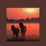  Natural Joy - Zen Flute Music