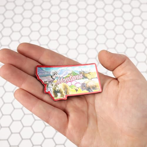 Imán decorativo metálico Montana 2.5 x 1.25 pulgadas miniatura 4