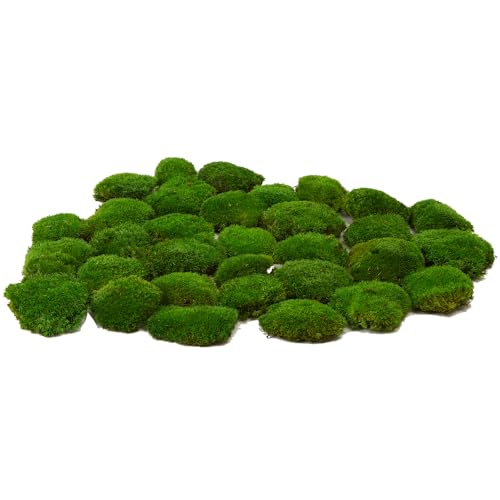 Prefleur Preserved Pole Moss Pillow Bun Cushion Natural Green Decorative Real Moss 1.5 sq.ft. Green-c