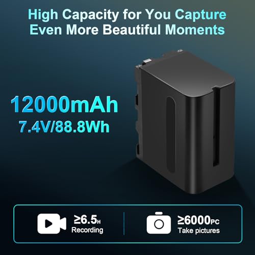BOANV 2-Pack 12000mAh NP-F970 Akkus und LED Ladegerät, Kompatibel mit Sony NP-F960 NP-F950 NP-F930 NP-F550 NP-F570 NP-F750, Camcorder LED Video Lichter