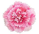 Photo Gallery fiore di peonia rossa a forma di mano, 30 cm, simulazione di danza per bambini, ideale per riunioni sportive e spettacoli all asilo, perfetto per cerimonie di apertura ed eventi di danza Photo Gallery fiore di peonia rossa a forma di mano, 30 cm, simulazione di danza per bambini, ideale per riunioni sportive e spettacoli all asilo, perfetto per cerimonie di apertura ed eventi di danza