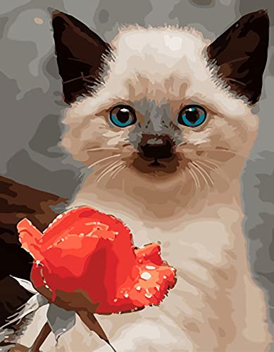 Puzzle 500 Teile für Erwachsene Cover