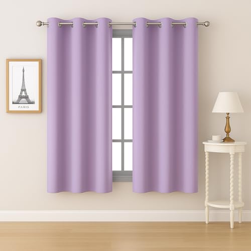 Bhoomi Impex Room Darkening Window Curtain 5 feet Set of 2 | Thermal Insulated Stainless Steel Eyelets, Heavy Blackouts | Lavender Solid