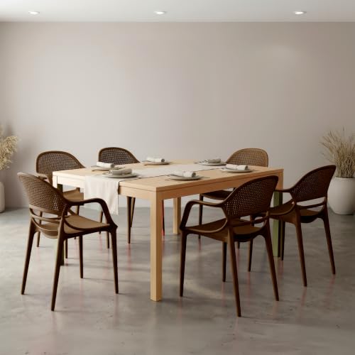 Image of DIYA Sunset Premium Plastic Chair for Home | Comfortable Arm Chair | Dining, Living Room & Balcony | Strong PP Build, 1-Year Warranty - Set of 6 (Brown)