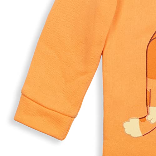 Image of Bluey Boys' Fleece Quarter-Zip Hoodie Toddler to Big Kid