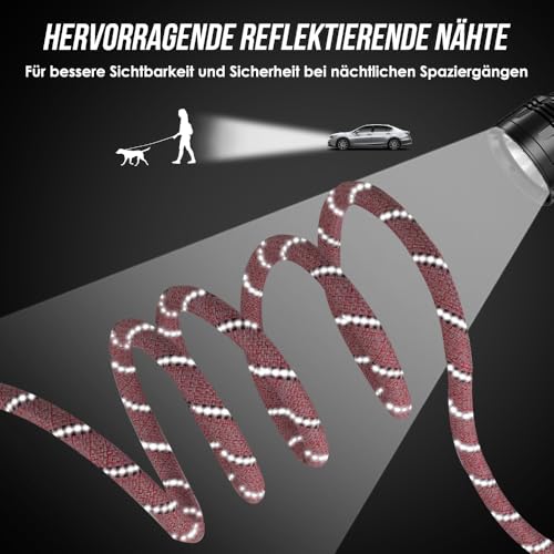 Eyein Hundeleine 3m für Kleine mittelgroße Hunde, 8in1 Schleppleine mit 3 Verstellbare Schnalle und Griffen, Reflektierende Doppelleine für 2 Hunde - Unter 100KG, Verdickte Freihandleinen, Rosa