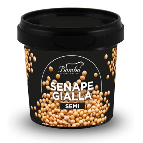 Semi Bembo: Semi di Senape Gialla 100g – Aggiungi un Tocco di Piccantezza ai Tuoi Piatti – Confezione Anti-Spreco, Anti-Ossidazione, Riutilizzabile e Riciclabile