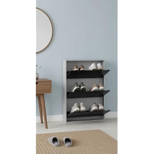 Gkshoeracks Big Single Decker Shoe Cabinet