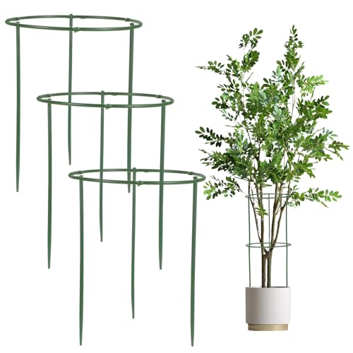Wanmu 3 Stück Pflanzenstützen Rund, Rankhilfe Pflanzenstütze Ringkäfige Blumenhalter für Gartenpflanzen Gemüse Tomaten Bohnen Erbsen Pfingstrosen Gurken Orchideen Wanmu 3 Stück Pflanzenstützen Rund, Rankhilfe Pflanzenstütze Ringkäfige Blumenhalter für Gartenpflanzen Gemüse Tomaten Bohnen Erbsen Pfingstrosen Gurken Orchideen