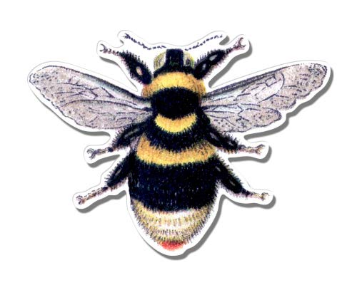 Vintage Style Bumble Bee - 3