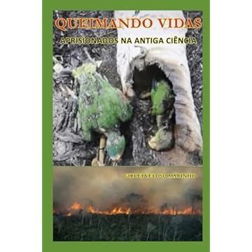 Capa do livro Queimando Vidas: Aprisionados na antiga ciência