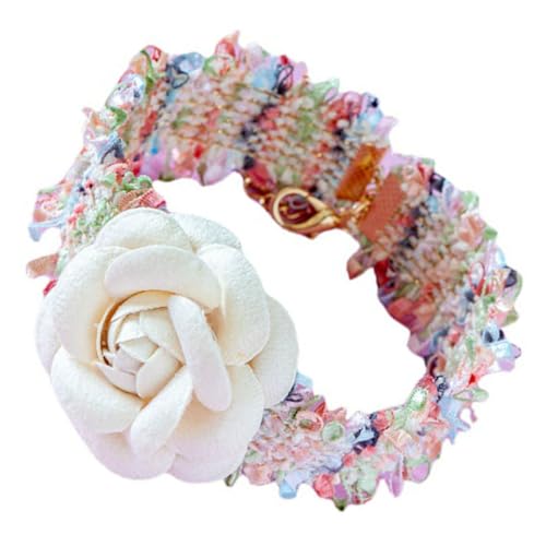 Toddmomy L lbNX ybg ̎q   ̎q q  킢