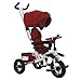 NBgy Triciclo, Triciclo Multifuncional 4 En 1 con Asiento Giratorio, Diseño De Asiento Bidireccional, Triciclo Exterior para Bebé, 2 Colores, 105x48x88cm (Color : Rojo)