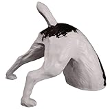 jack russell terrier zucht schweiz na, was sucht dieser kleine Racker ? Seinen Knochen oder steckt er gar den Kopf in den Sand ?