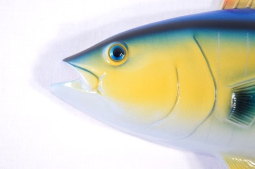 Lx Hand Painted 12" Yellow Fin Tuna Salt Water Game Fish Wall Mount Decor Plaque #TOP2