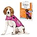 Thundershirt Sport Dog Anxiety Jacket | Vet Recommended Calming Solution Vest for Fireworks, Thunder, Travel, Separation | Fuchsia, Medium