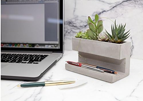 Kikkerland Concrete Desktop Planter, Large (PL02-L)
