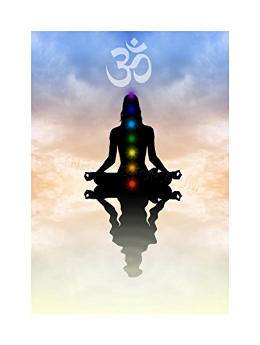The Art Stop Painting Illustration Buddhist Lotus Chakras Peace Symbol Framed Print F12X4662