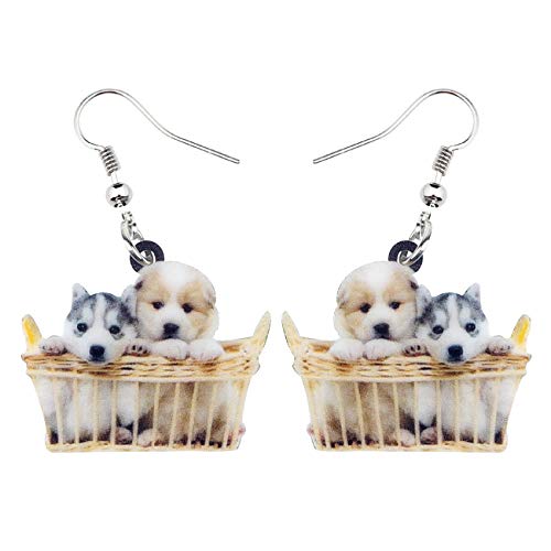 Boucles d'oreilles raton laveur, le cadeau bijoux idéal pour filles