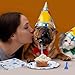 durony 72 Pieces Dog Paw Print Birthday Party Supplies Include 32 Plates, 24 Napkins and 16 Forks Blue Dog Paw Prints Party Decorations for Puppy Theme Party, Picnic, Baby Shower