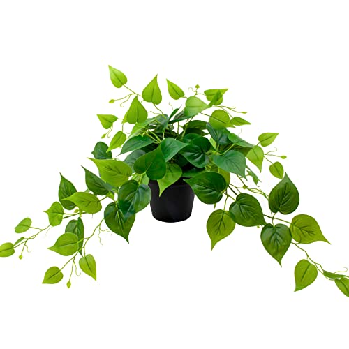 Faux Plants Indoor - Artificial Plants For Home Decor - Small Fake Plant - Fake Potted Plants Faux Pothos With Black Plastic Pot - Perfect For Outdoor, Living Room, Bedroom, Office & Garden #TOP5