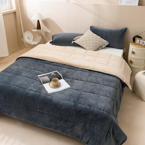 ele ELEOPTION Twin Size Comforter Set 3pcs Winter Autumn Super Soft Fuzzy Bedding Sets with Fleece Warm Comforters (60x80 inches) and 2 Pillowcases (20x28 inches) for Bedroom Dark Gray/Camel