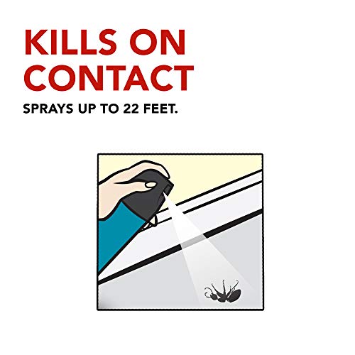 Raid Wasp And Hornet Killer, 17.5 Oz (Pack Of 3) #TOP7