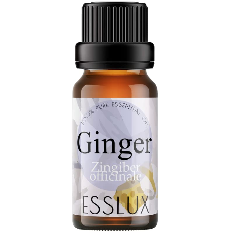 Esslux Pure Ginger Oil for Belly Fat & Pain - 100% Natural Therapeutic Grade Ginger Essential Oil for Lymphatic Massage Oil - Belly Drainage Ginger Oil for Hair Growth, Skin & Diffuser - 60 ML