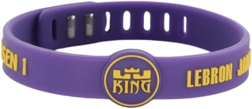 history of lebron james