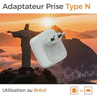 TESSAN Adaptateur Prise Brésil, 3 en 1 Adaptateur Brésil France avec USB C et USB A, Prise Type N 2500W