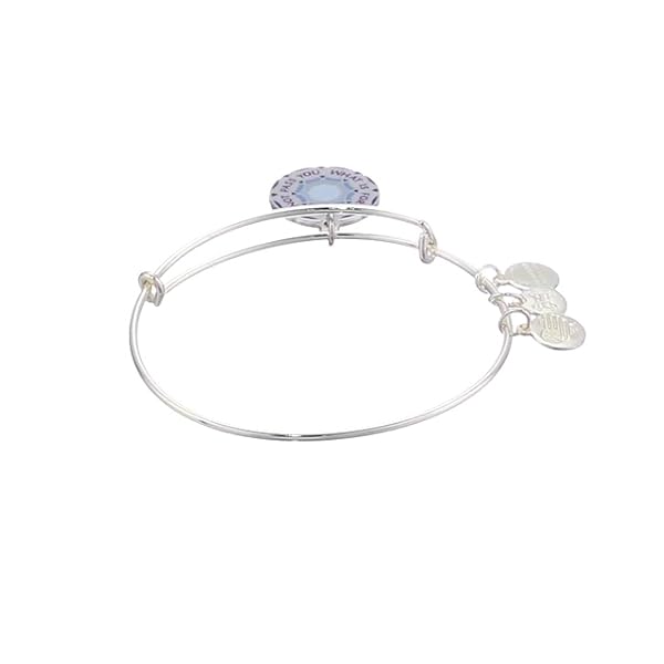 Alex and Ani Connections Expandable Bangle for Women, What Is For You Will Not Pass You Charm, Shiny Silver Finish, 2 to 3.5 in