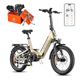 ENGWE L20 3.0 Pro Bici Elettrica per Adulti