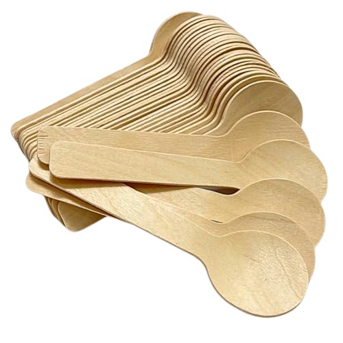 Mini Wooden Spoons, Disposable Tasting Sampling Spoons, Disposable Wooden Ice Cream, Dessert Spoons 4 inches (100)