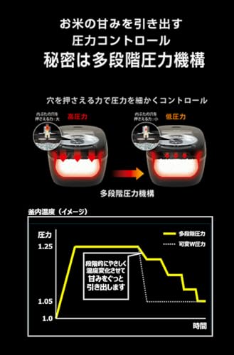 タイガー魔法瓶(TIGER) JRI-N100 K の商品画像 4