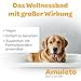Amuleto Clean & Care Bath - Milben und Flohshampoo für Hunde & Katzen - Milbenmittel 15ml Konzentrat - Parasiten Shampoo - Lindert Juckreiz, spendet Feuchtigkeit, beruhigt gereizte Haut