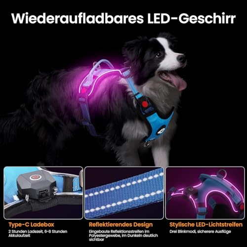 DAISTERN von BSWAY LED Hundegeschirr Größe S mit Griff, Aufladbares Leuchtendes Hundegeschirr, Brustgeschirre Hunde mit 3 Blinkmodi, Reflektierende Streifen für kleine und Mittelgroße Hunde