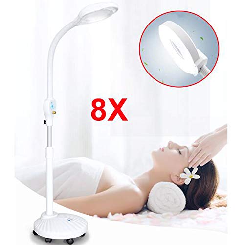 8X Lupen Lampe - Led-kaltlicht-tätowierungslampe Schönheitssalon-eiform Lupenleuchte Mit Standfuß Led Stehlampe Kosmetik Lampe Tageslichtlampe