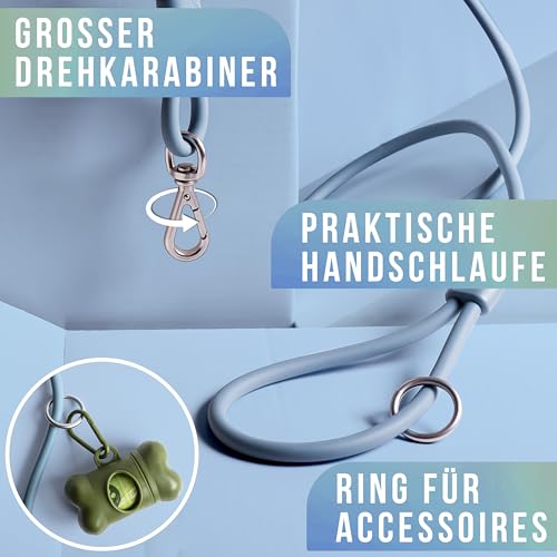ne&no® Hundeleine 1,5 m Loft Design | Schmutz- & Wasserfest | Führleine für Hunde | Leine Hund | Dog Leash | Blau