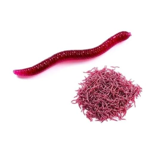 Kit 50 Iscas Artificial Minhoca Minhocuçu 4 cm
